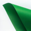 Malmero amazone зелений