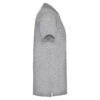 polo-star-200-tm-roly-6638-58-siryj-3 Поло Star 200, TM Roly